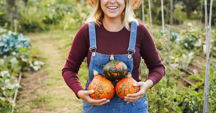 Young female farmer holding organic pumpkins with hands inside vegetable garden - Woman working outdoor during fall season - Small business and autumn lifestyle concept - UGC content
