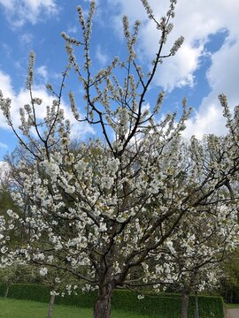 Fr&uuml;hling im Botanischen Garten der Stadt G&uuml;tersloh in Nordrhein-Westfalen	