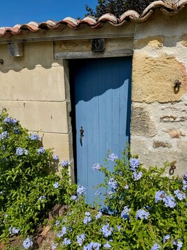 Old stone building with blue wooden door and flowering bushes