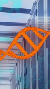 Animation of orange dna strand and data processing over computer server room