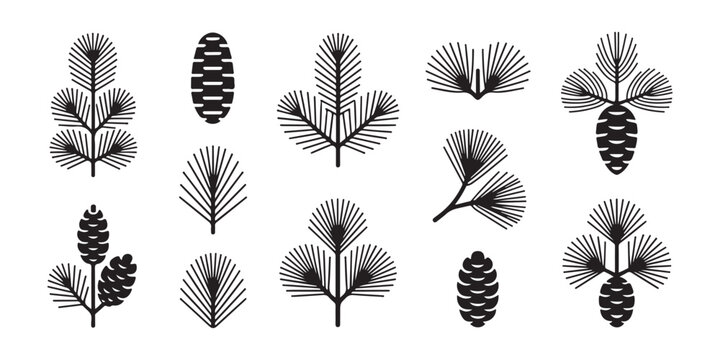 Cedar and pine branch silhouettes with needles and cones for botanical decoration and floral patterns.