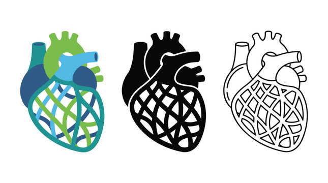 Human heart vascular network anatomy icon collection in flat glyph and outline style design.