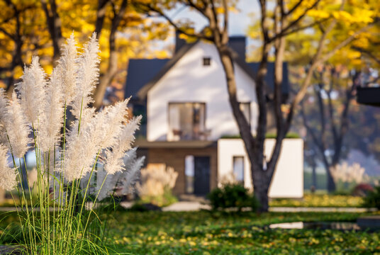 3d rendering of contemporary architectural luxury house exterior. Modern Scandinavian style family home with a white plaster walls, beautiful garden. Clear sunny autumn day with golden leaves anywhere