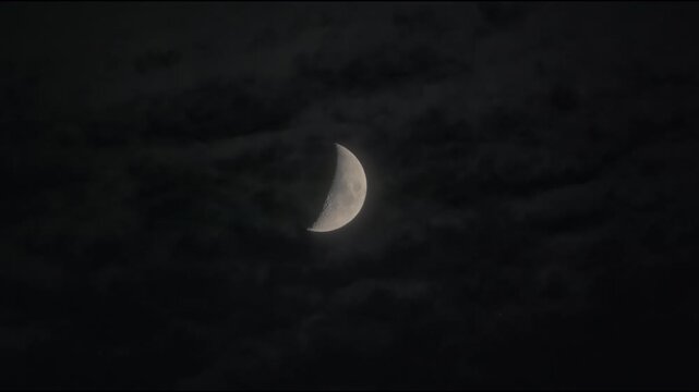 Half moon close-up with craters