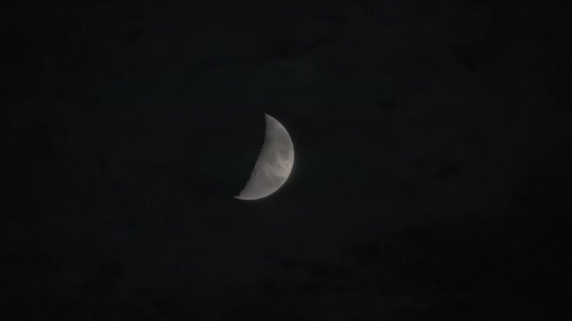 Half moon close-up with craters