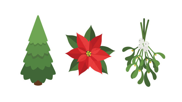 Christmas symbols including a green fir tree, a red poinsettia flower, and a mistletoe bunch.