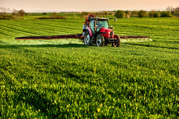 Fototapeta premium Tractor spraying pesticide on green wheat field, fertilizing growing crops