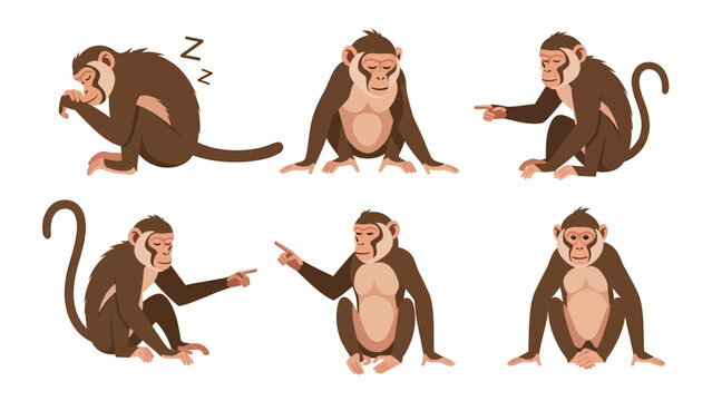 Set of six cartoon monkeys in different poses, including sleeping, pointing, and sitting.