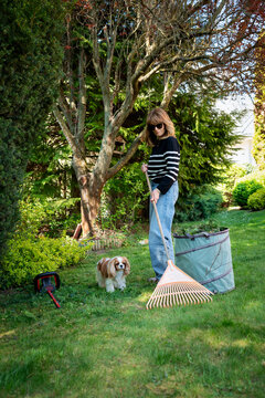 Mid-aged woman cleaning the backyard from leaves
Full length of a mid-aged woman gardening in the yard