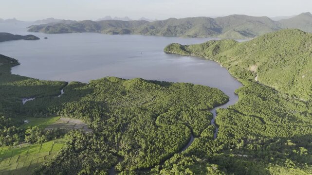 Aerial drone view of Coastal fields stretching beside mangroves and a bay in Northern Palawan, Philippines