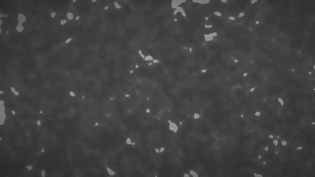 Microscopic Rough Surface Contact Spots Age And Vanish Behind A Rupture Front, Seamless Loop in cool black tones