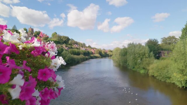 Colourful hanging basket flowers with an out of focus River Severn background in Bridgnorth, Shropshire