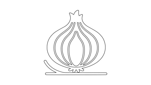 Whole onion bulb icon animation