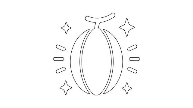 Melon with sparkle icon animation