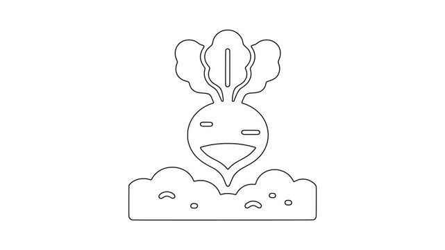 Beetroot growing in soil icon animation