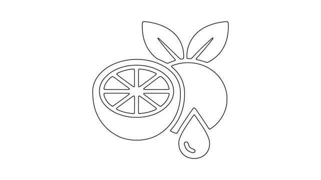 Citrus fruit with leaves icon animation