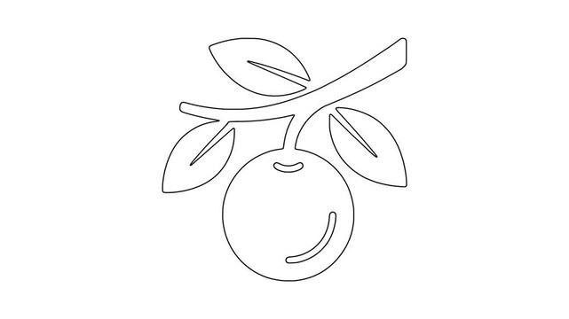 Orange fruit with leaves icon animation