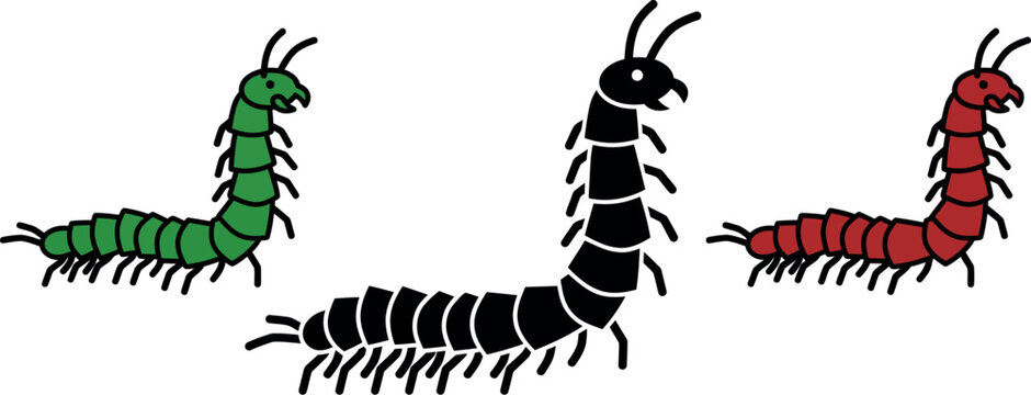 Centipede insect vector crawling garden pest illustrations