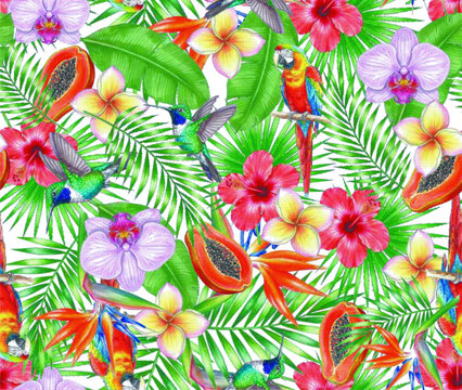 Vibrant tropical pattern with parrots hummingbirds orchids and papaya on white background