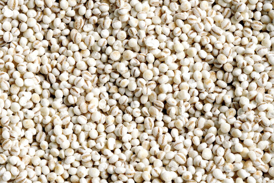 Pearl barley, close-up