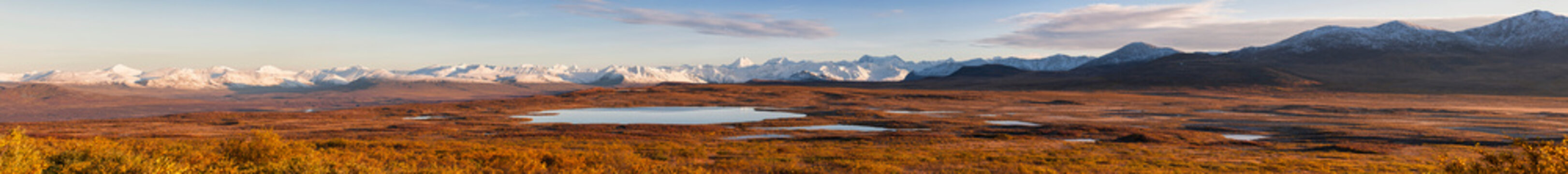 USA, View of landscape in autumn and Alaska Range in background
