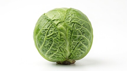 Fototapeta premium Fresh Green Cabbage - High Quality Stock Photo