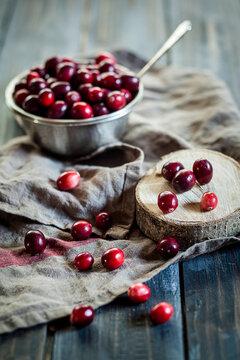 Metal bowl of cranberries, Vaccinium macrocarpon, on kitchen towel and wood