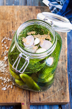 Gherkins fermenting, preserving jar