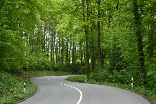 Germany, Bavaria, Empty road through boardleaf forest