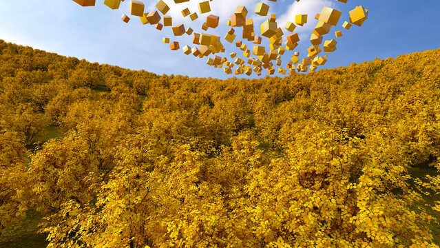 Abstract 3D cubes symbolizing network and connection above yellow forest