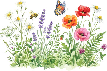 Fototapeta premium Summer meadow banner with colorful poppies chamomile lavender butterfly and honey bee.