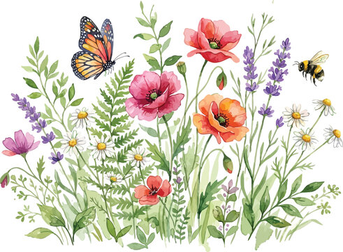 Wildflower meadow border with red and orange poppies chamomile butterfly and flying bee.