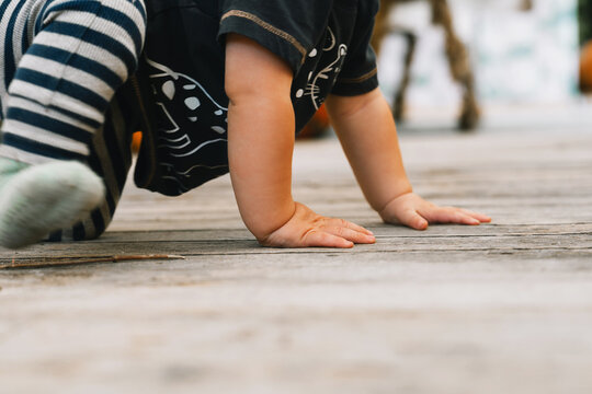 A cute baby boy crawls on a wooden porch surrounded by bright orange pumpkins and beautiful fall decorations. Authentic outdoor childhood moments during the autumn harvest season.