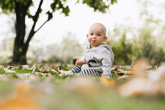 A sweet baby boy wearing a cozy sweater sits on the grass among autumn leaves and looks away with a smile. Relaxed fall season lifestyle and authentic outdoor childhood moments.