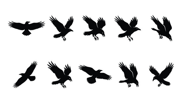 Flying crow silhouettes in multiple poses for horror and nature designs