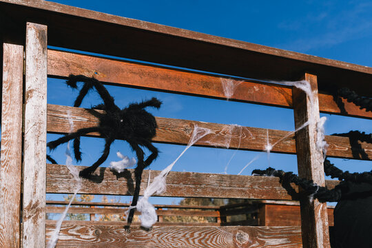 A giant scary black spider prop with fake cobwebs is attached to a wooden fence against a bright blue sky. Spooky outdoor Halloween decoration and fun seasonal festive concept.