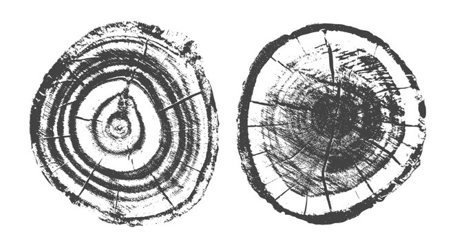 Natural wood texture with tree rings and grain pattern vector illustration set. Cross-section of trunk grunge stamp print showing annual growth circles of wooden stump with organic line collection.