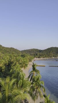 Aerial drone view of Coconut-lined shoreline of Pangulatan beach during a peaceful tropical sunrise