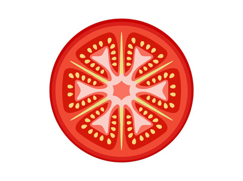 Red Tomato Slice Cross Section Illustration