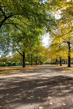 Walking in Hofgarten Park in Munich on an autumn day, Germany