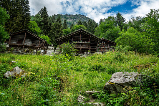 Traditional Walser huts among green meadows and forests in Pedemonte