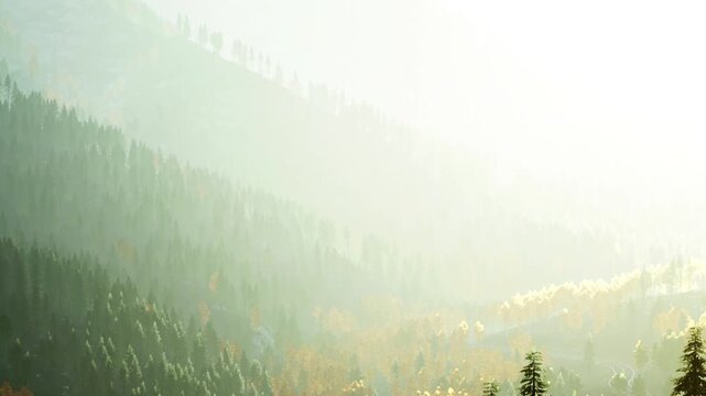 A forest is shrouded in mist as the sun rises over the mountains. Trees of various heights are visible, creating layers of green and gold. The soft light increases as morning starts.
