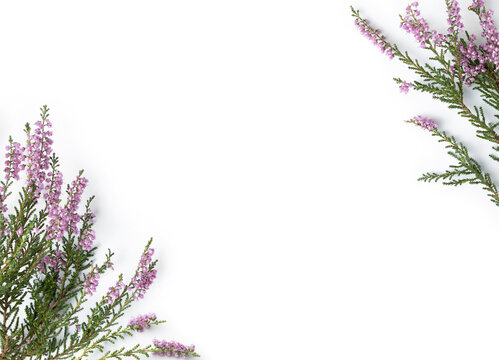 Purple Heather floral border with white copy space