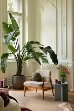 Elegant and cozy living room interior with a large green houseplant, comfortable armchair, and classic architectural wall moldings for home decor
