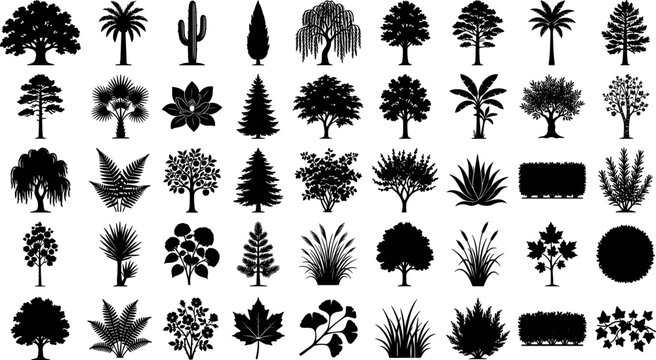 Tree and garden plant silhouette vector icon set featuring black stencil illustrations of forest evergreens deciduous trees shrubs ferns cactus and landscaping foliage