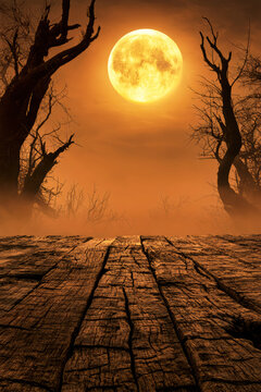 A dark forest scene shows dry trees under a large full moon. The ground is made of old wooden planks. Fog surrounds the area, creating an eerie atmosphere
