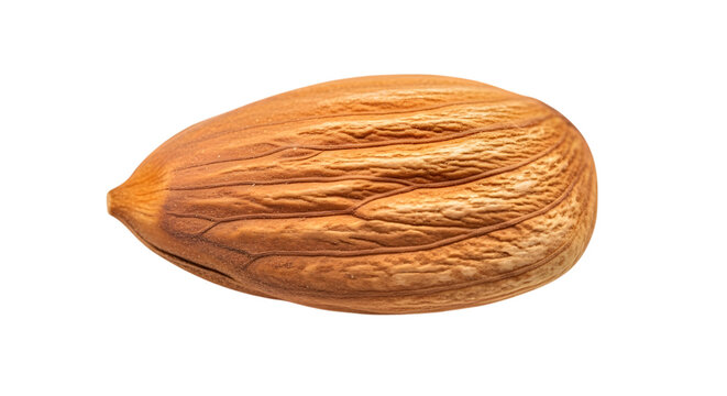 A detailed close up view of a single almond nut showing texture and form isolated on transparent background