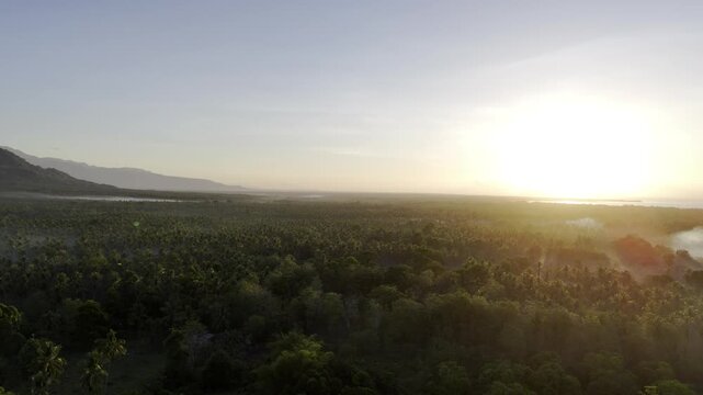 Aerial drone view of Coconut fields of Southern Palawan illuminated by warm sunrise light