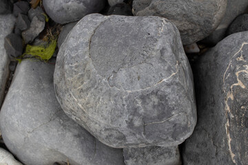 Large Boulder with a Fossilized Ammonite Imprint © Josh