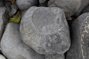 Large Boulder with a Fossilized Ammonite Imprint © Josh